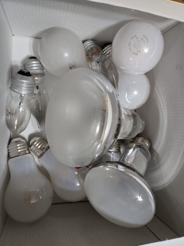 Additional Lightbulbs (First 4 are Free)